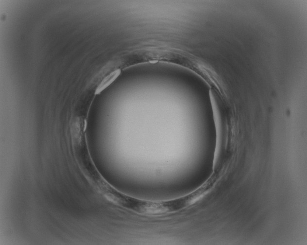 X0000082970121200702011408