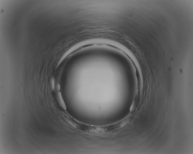 X0000082970125200702011408