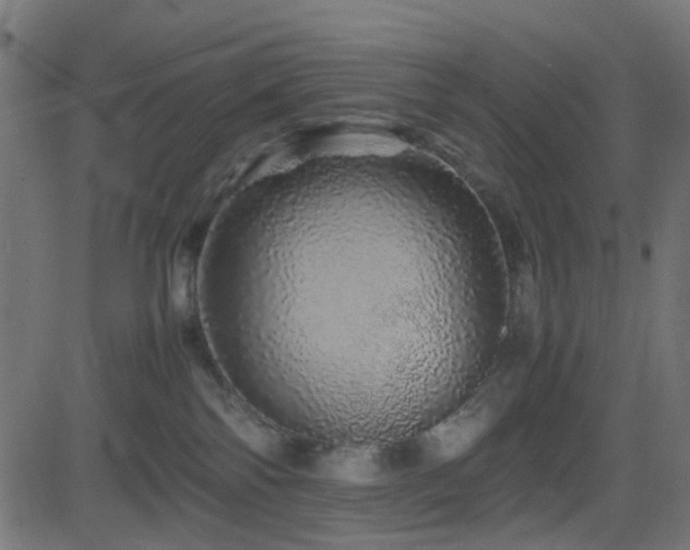 X0000082970138200702011407