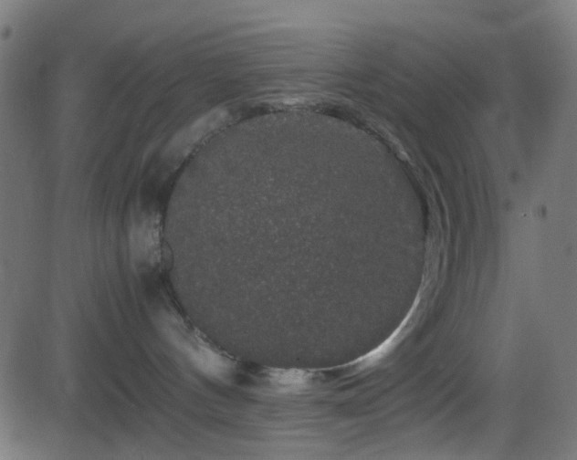 X0000082970144200702011407