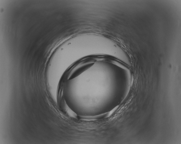 X0000082970146200702011407