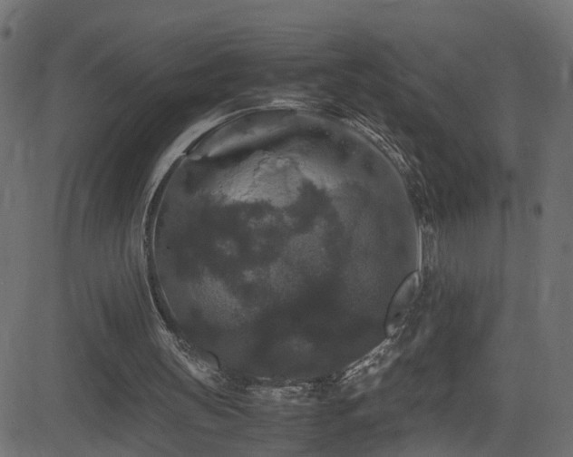 X0000082970147200702011407