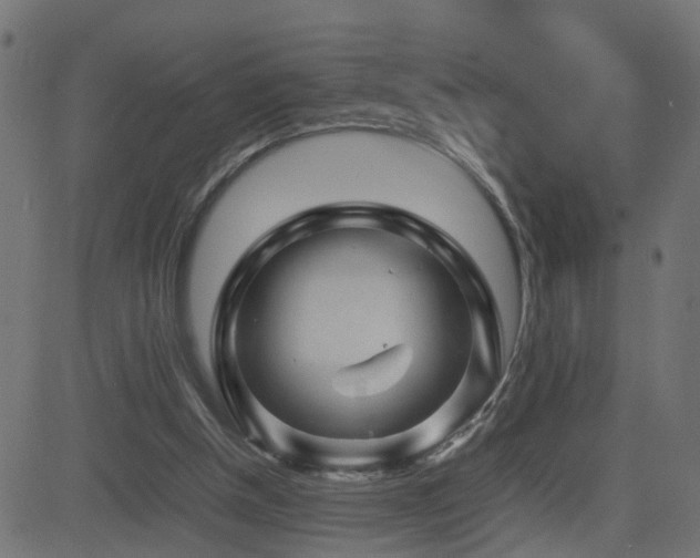 X0000082970154200702011407