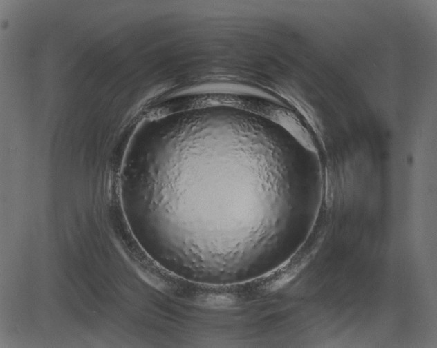 X0000082970157200702011407