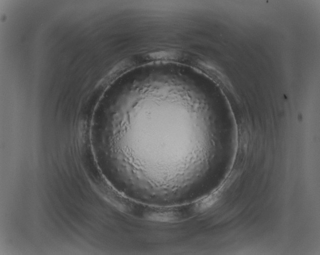 X0000082970171200702011407