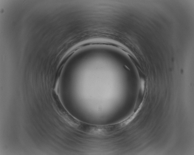 X0000082970174200702011407