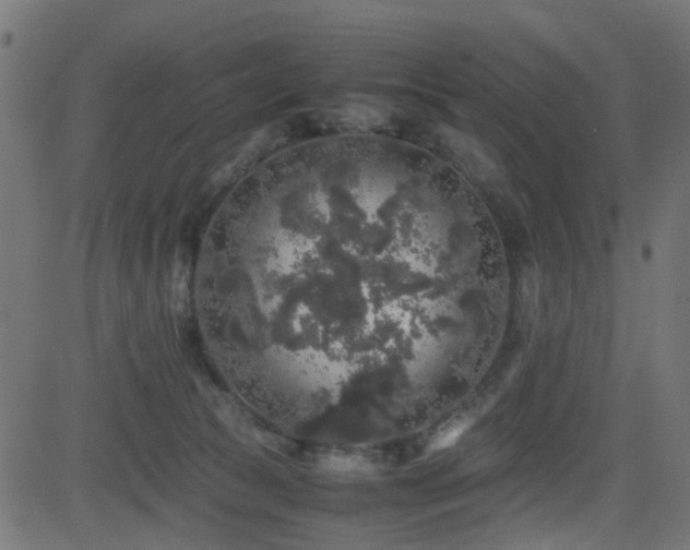 X0000082970177200702011407
