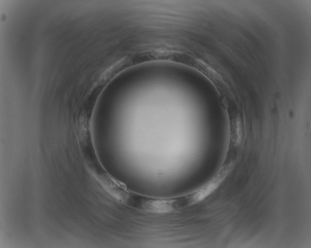 X0000082970184200702011407