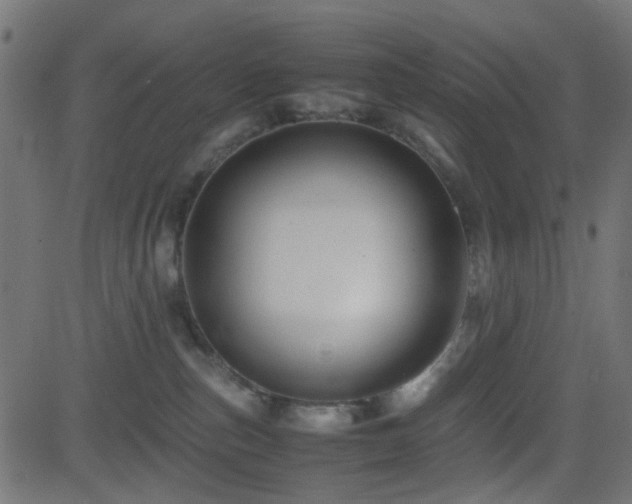 X0000082970187200702011407