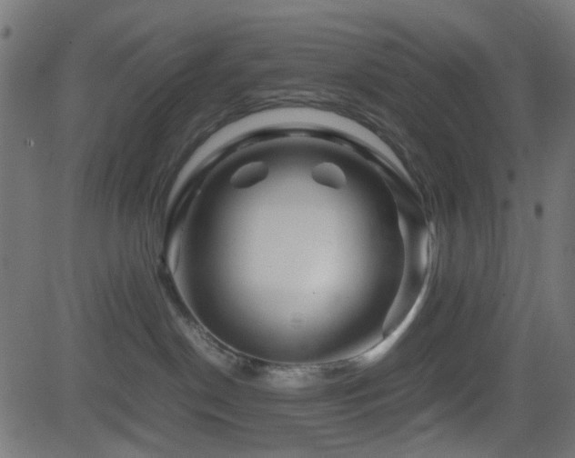 X0000082970190200702011407