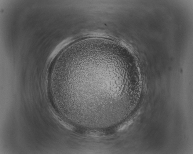 X0000082970199200702011406