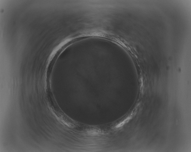 X0000082970200200702011406