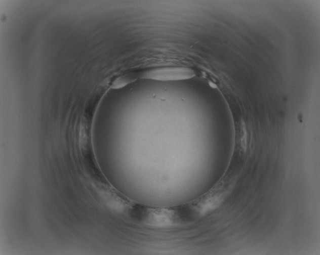 X0000082970226200702011406