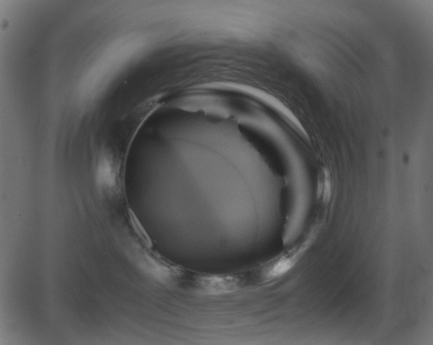 X0000082970239200702011406