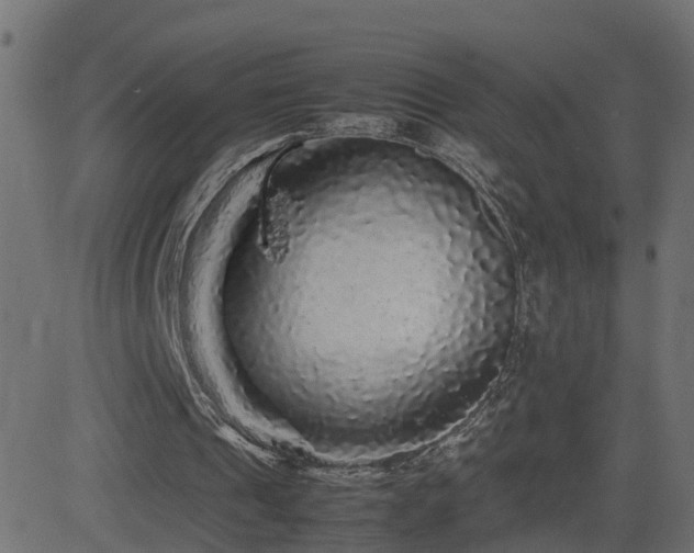 X0000082970241200702011405