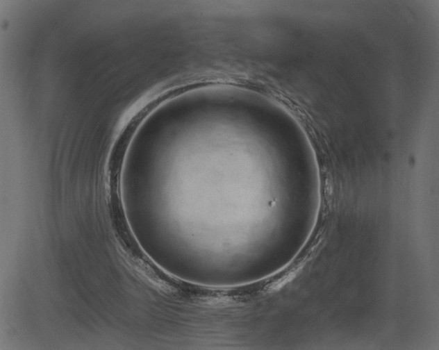 X0000082970246200702011405