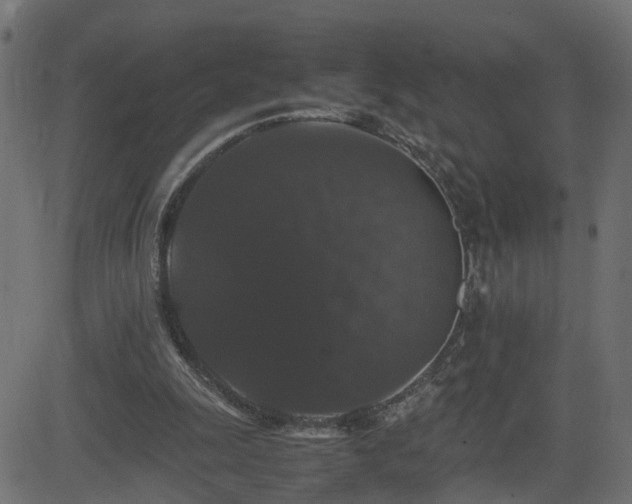 X0000082970247200702011405