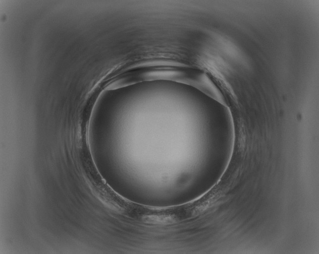 X0000082970251200702011405
