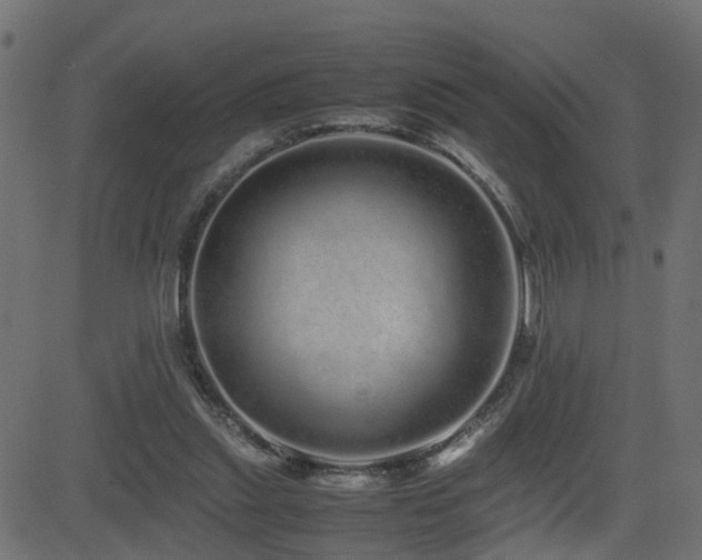 X0000082970253200702011405