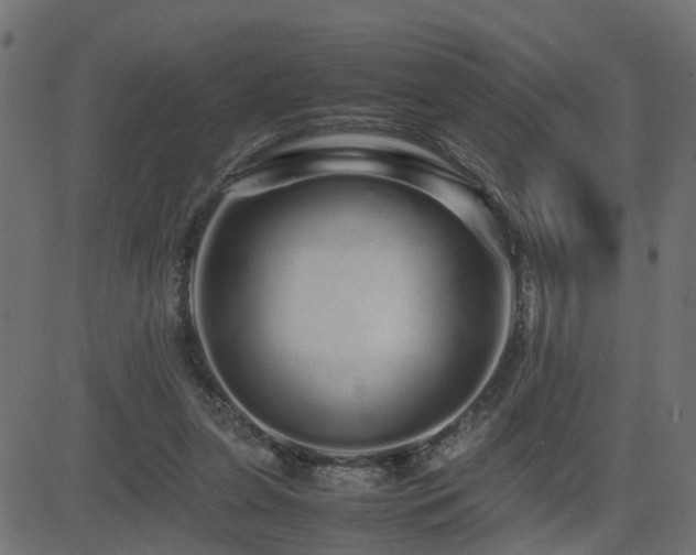 X0000082970255200702011405