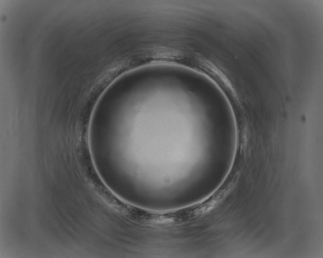 X0000082970257200702011405