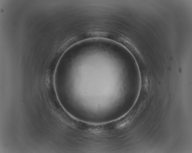 X0000082970259200702011405