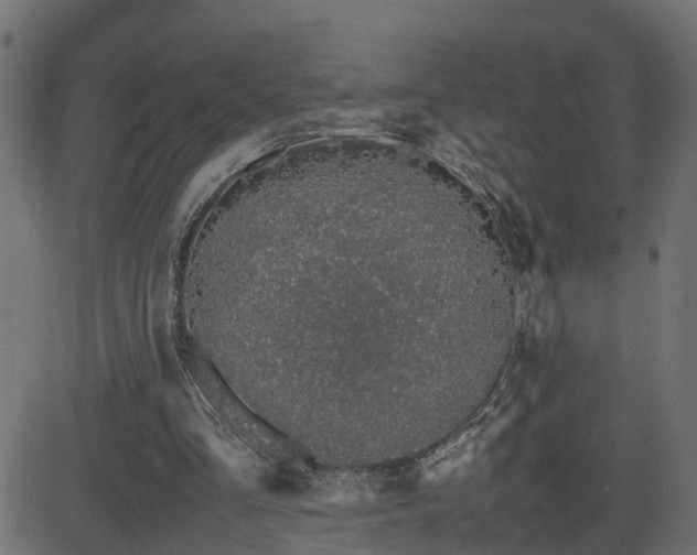 X0000082970293200702011405