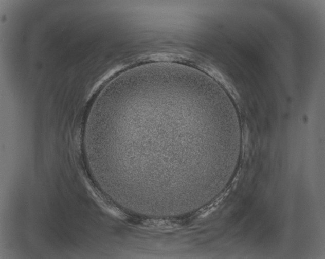 X0000082970297200702011405