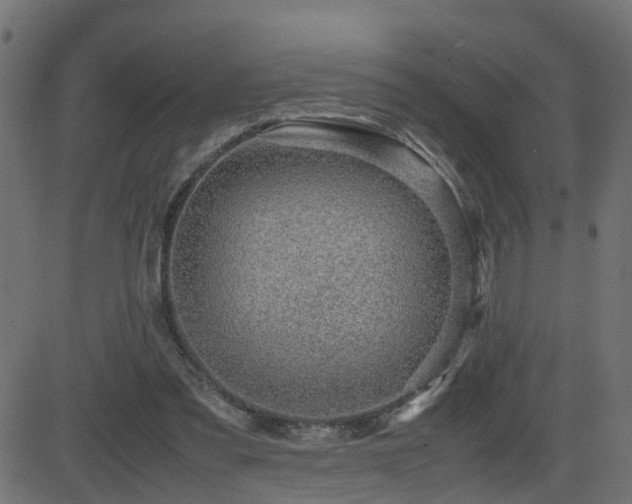 X0000082970301200702011405