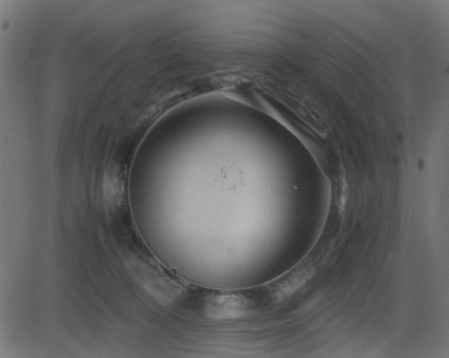 X0000082970324200702011404