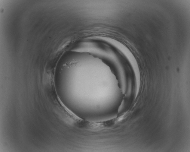 X0000082970333200702011404