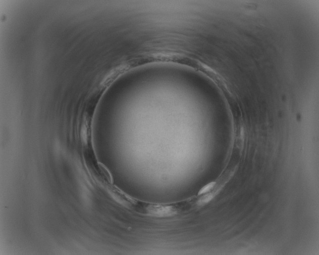X0000082970334200702011404