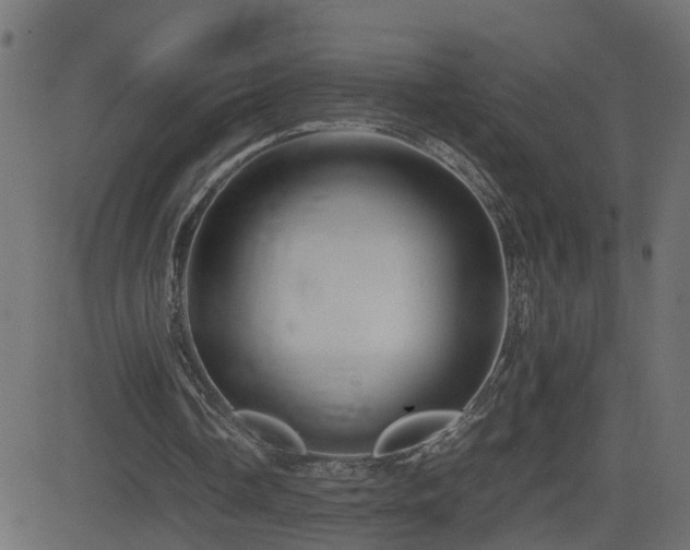 X0000082970338200702011403