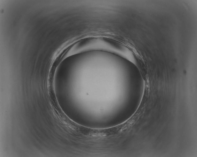 X0000082970340200702011403