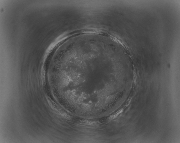 X0000082970343200702011404