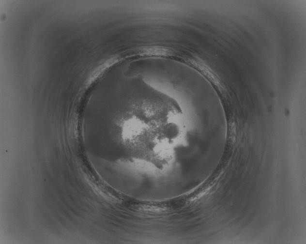 X0000082970347200702011404