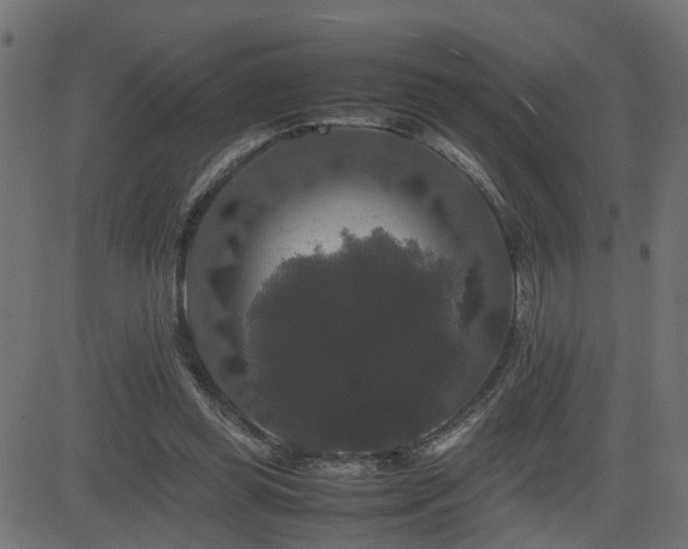 X0000082970349200702011404