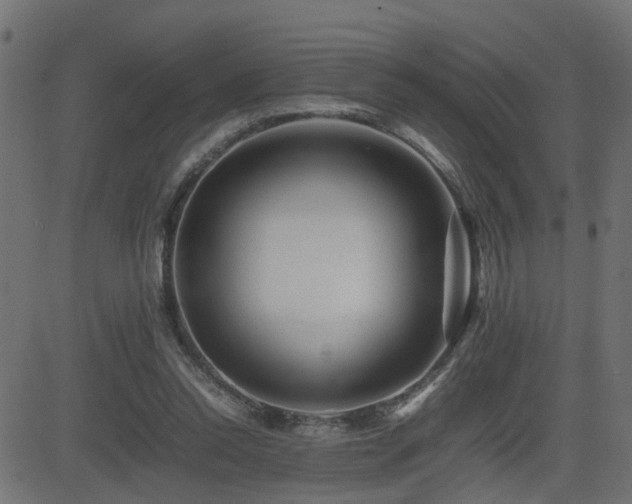 X0000082970350200702011404