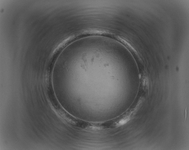 X0000082970352200702011404