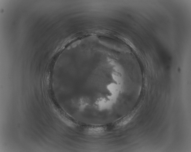X0000082970357200702011404