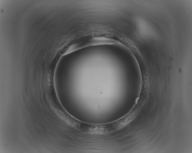 X0000082970362200702011404