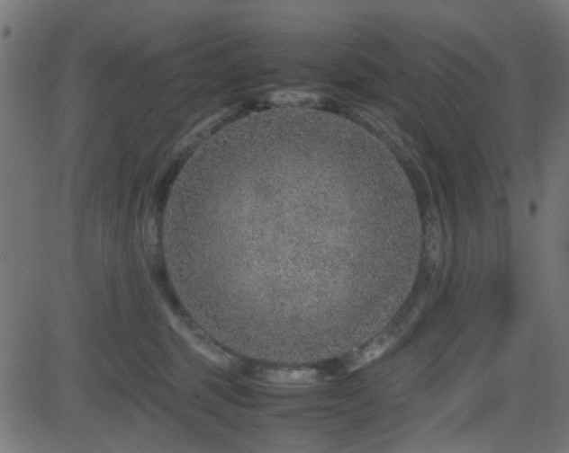 X0000082970375200702011404