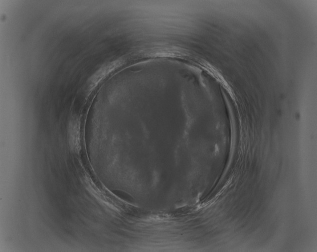 X0000082970386200702011403