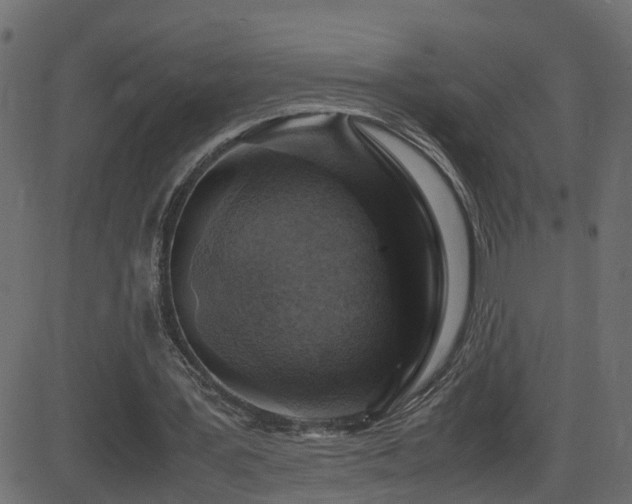 X0000082970387200702011403
