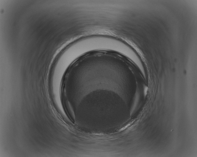 X0000082970391200702011403