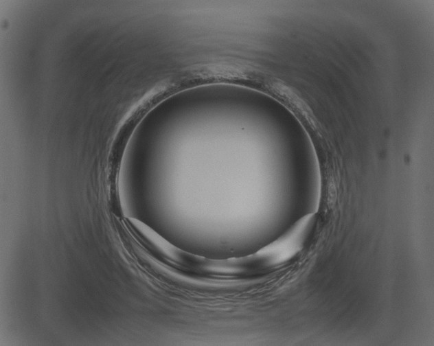 X0000082970395200702011403