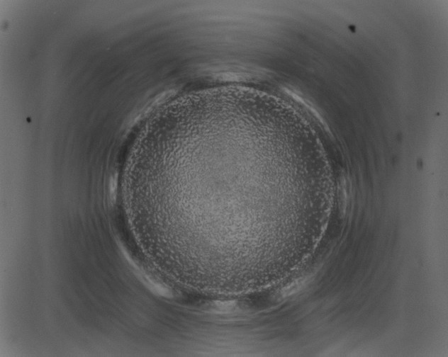 X0000082970406200702011403