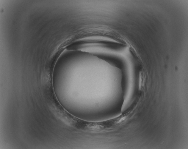 X0000082970407200702011403