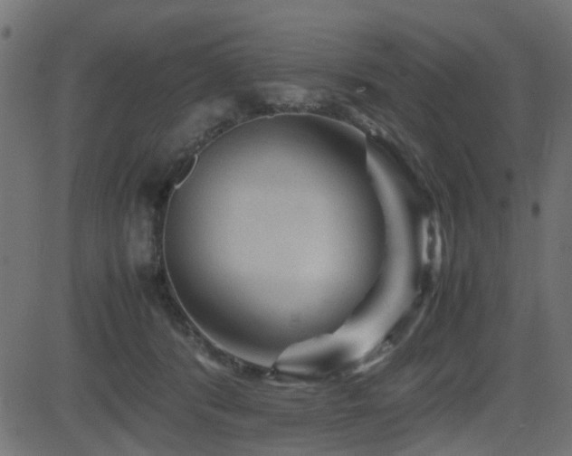 X0000082970416200702011403
