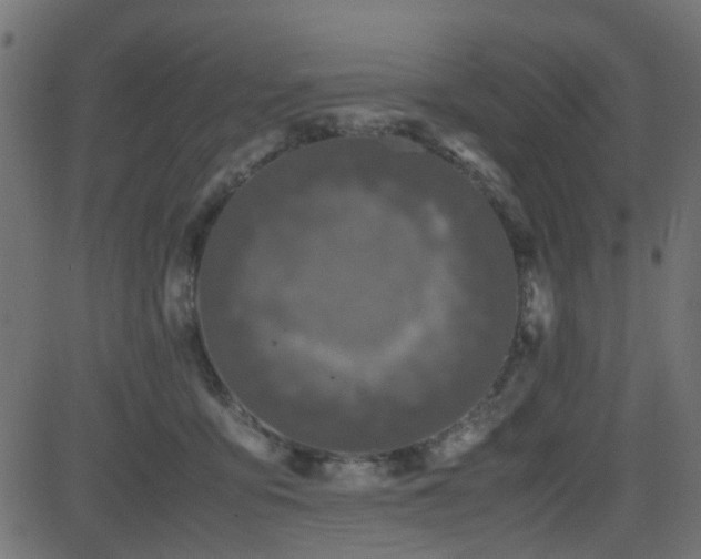 X0000082970419200702011403